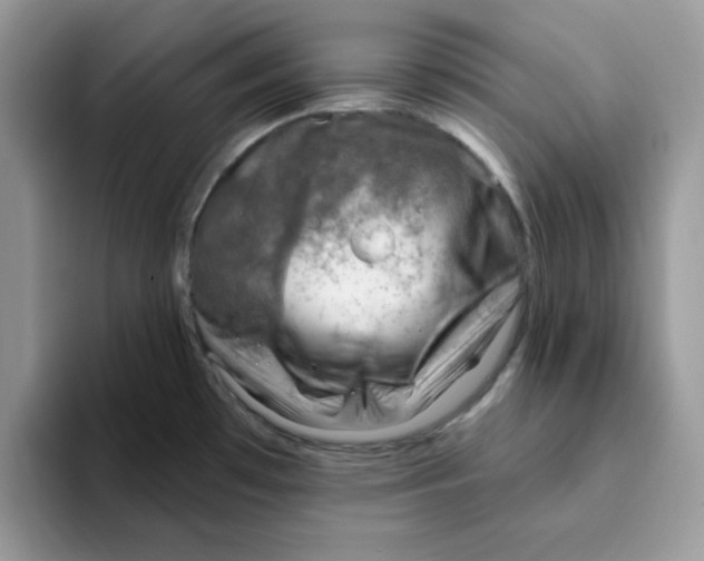 X0000093211481200710171332