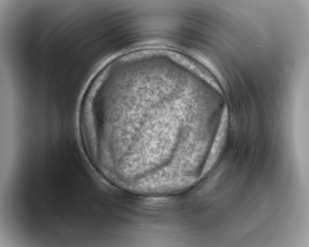 X0000093211482200710171332