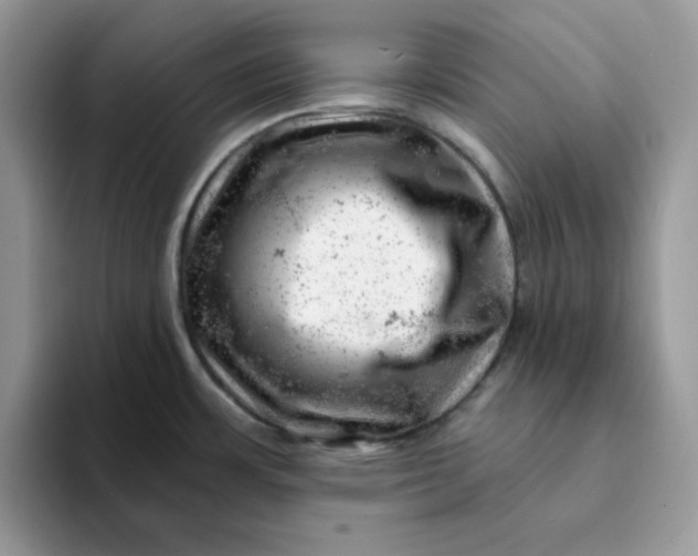 X0000093211483200710171332