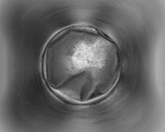 X0000093211484200710171332