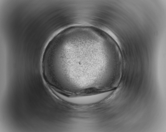 X0000093211485200710171332