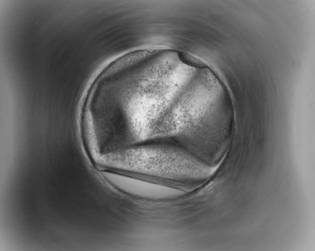 X0000093211488200710171332