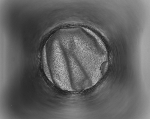 X0000093211494200710171331