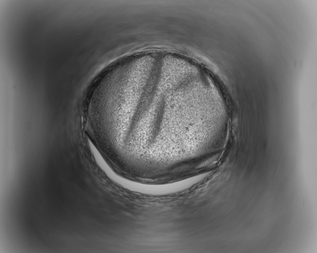 X0000093211496200710171331