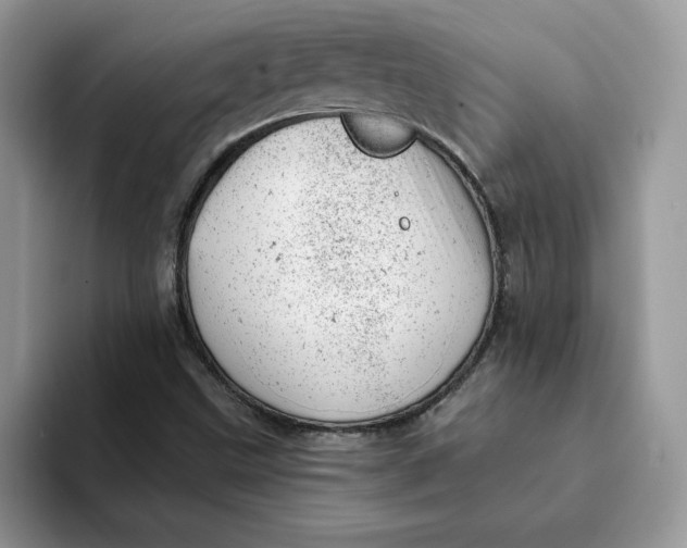 X0000093211499200710171331