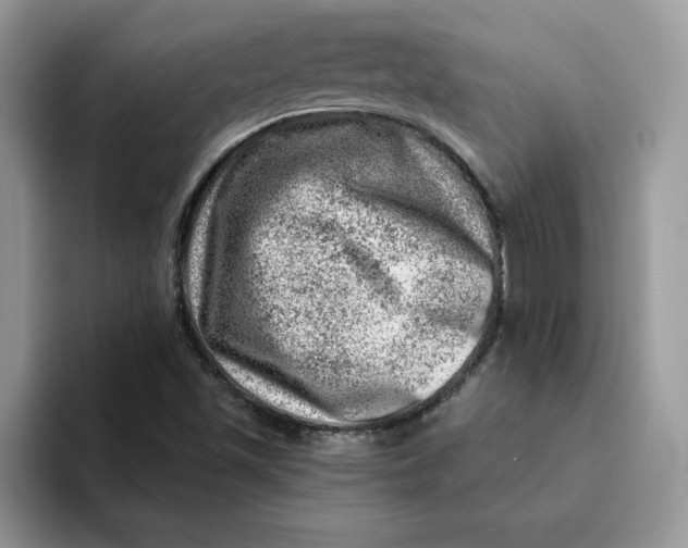 X0000093211501200710171331