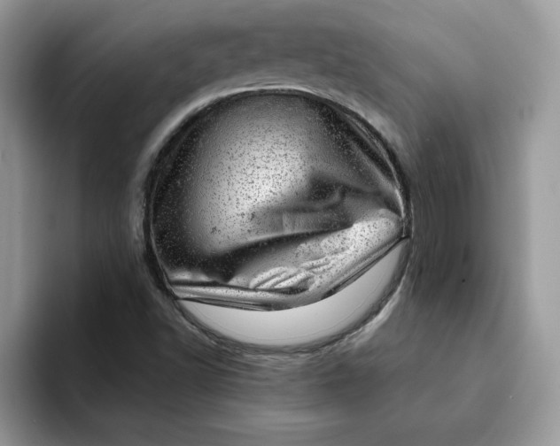 X0000093211502200710171331