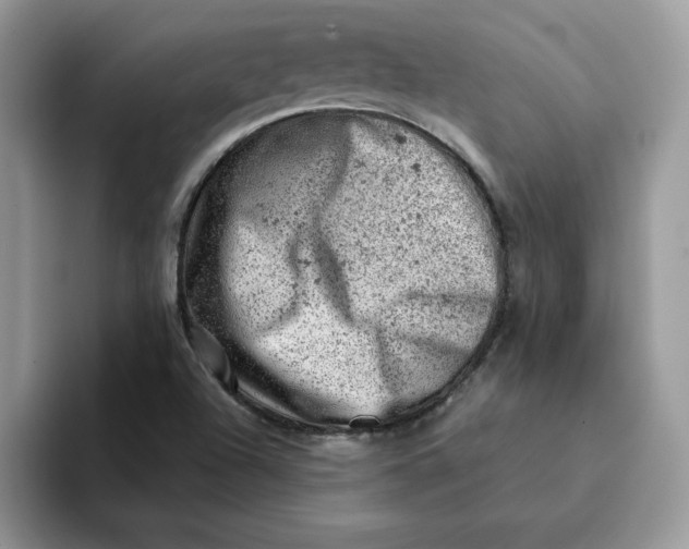 X0000093211504200710171331