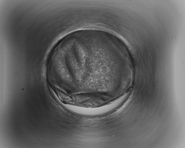 X0000093211506200710171332