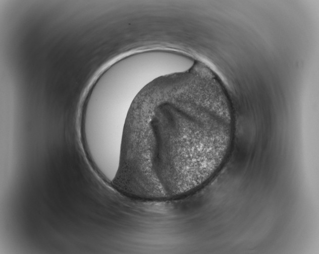 X0000093211508200710171332