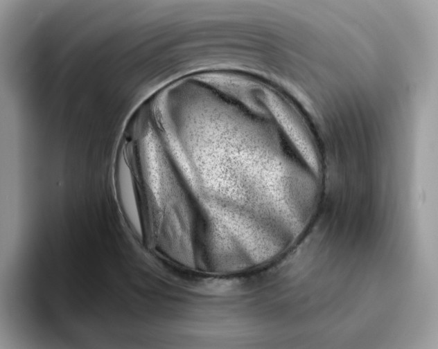 X0000093211513200710171332