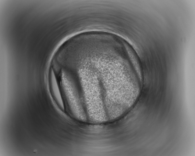 X0000093211515200710171332