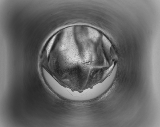 X0000093211518200710171332