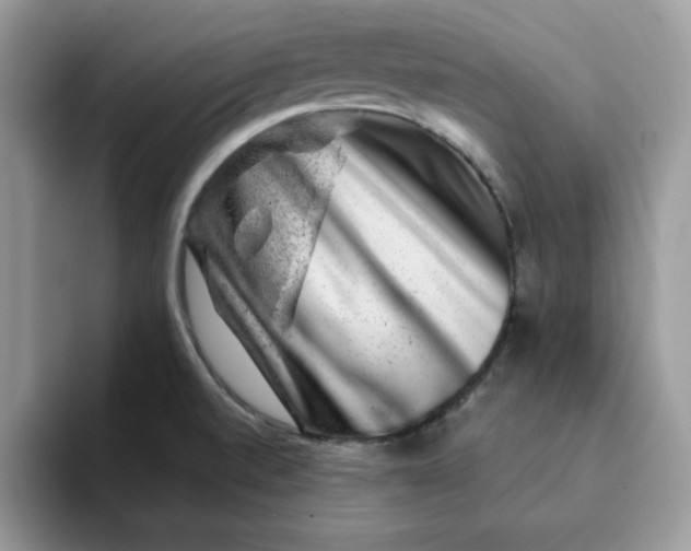 X0000093211520200710171332