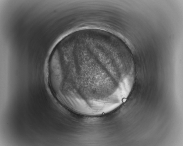 X0000093211522200710171332