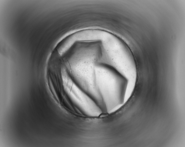 X0000093211526200710171332