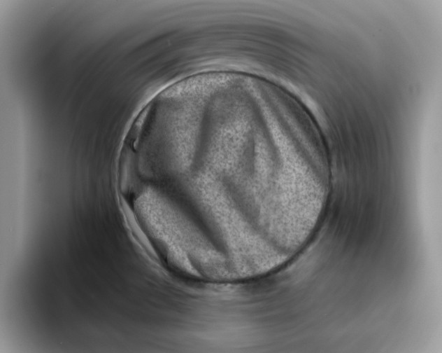 X0000093211529200710171332