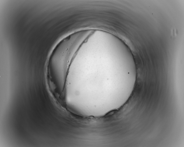 X0000093211530200710171332