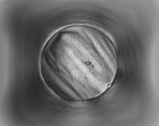 X0000093211533200710171332