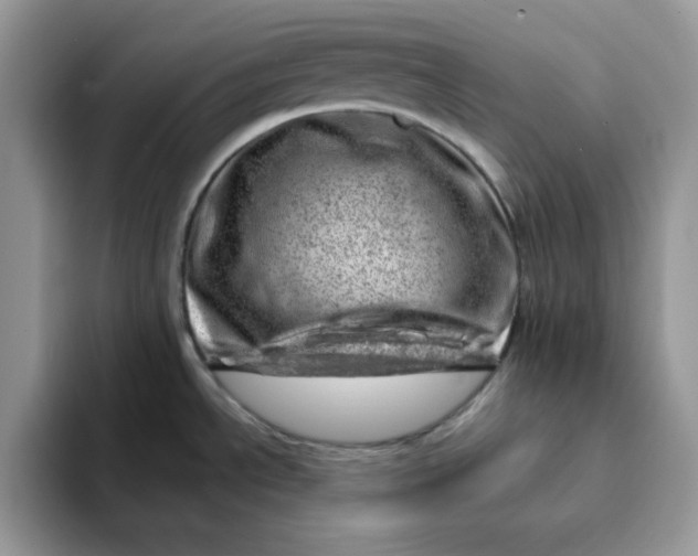 X0000093211534200710171332