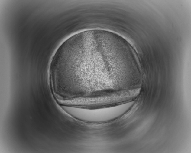 X0000093211535200710171332