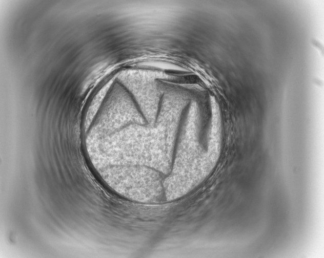 X0000093210002200710241206