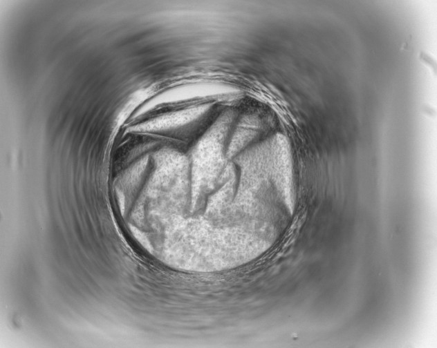X0000093210003200710241206