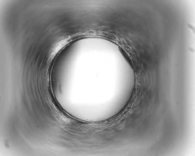 X0000093210005200710241206