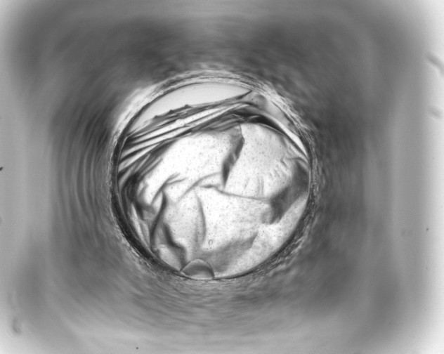 X0000093210007200710241206
