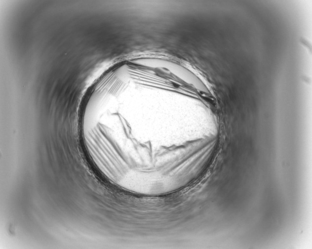 X0000093210008200710241206
