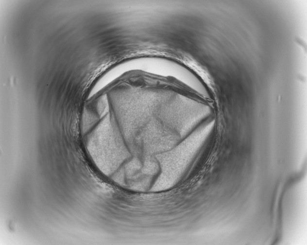 X0000093210009200710241206
