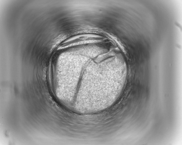 X0000093210010200710241206