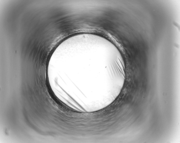 X0000093210011200710241206