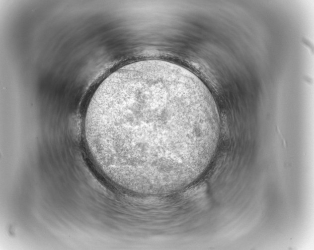 X0000093210016200710241206