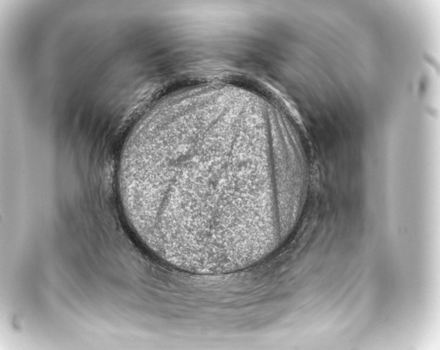 X0000093210018200710241206