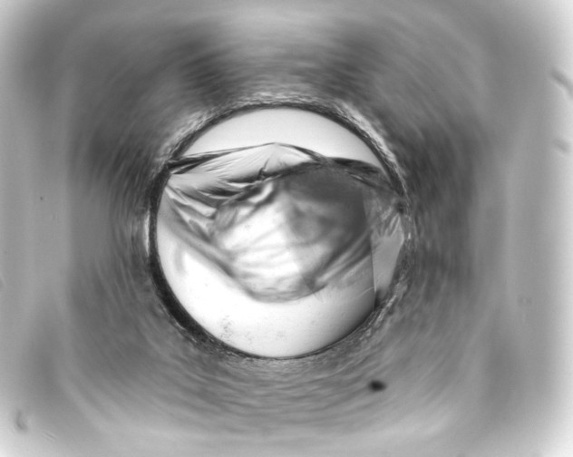 X0000093210019200710241206