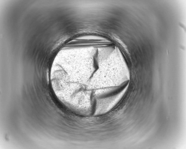 X0000093210020200710241206