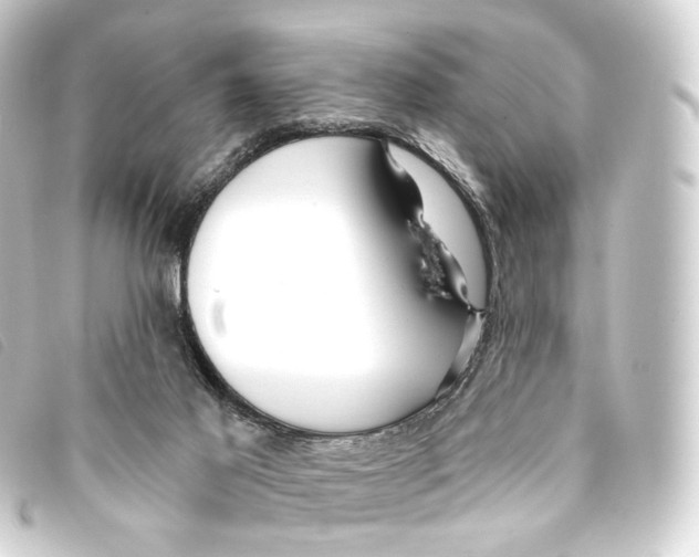 X0000093210021200710241206