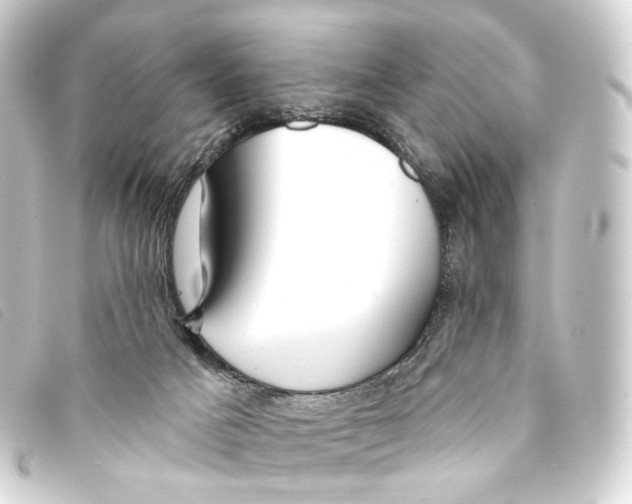 X0000093210025200710241206