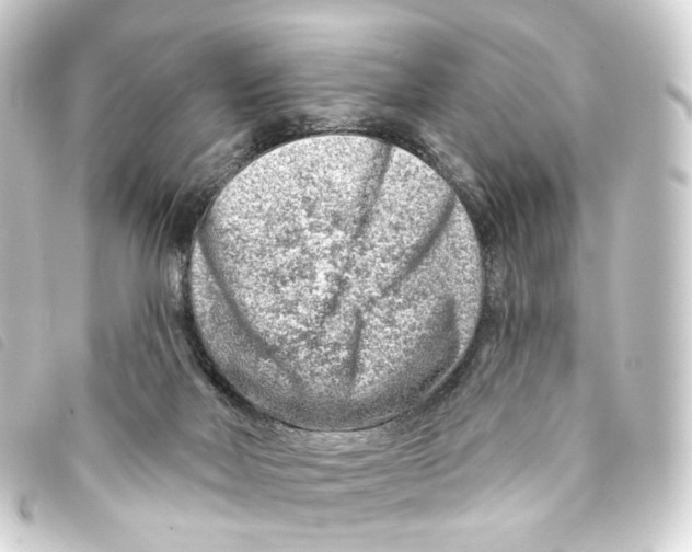 X0000093210026200710241206