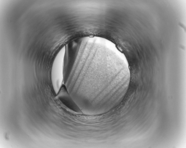 X0000093210027200710241206