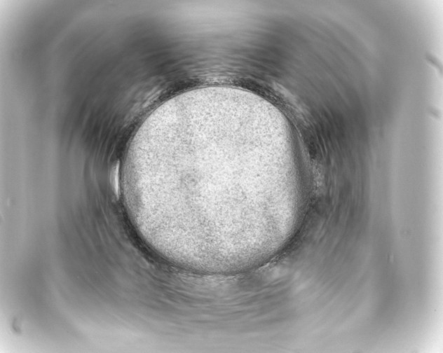 X0000093210028200710241206