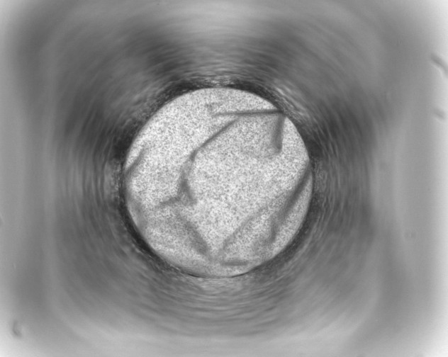 X0000093210030200710241206