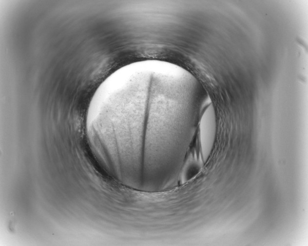 X0000093210031200710241206