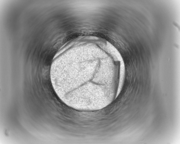 X0000093210034200710241206