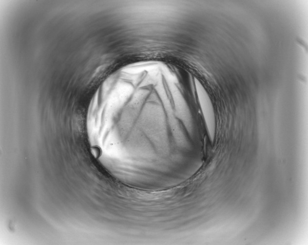 X0000093210035200710241206