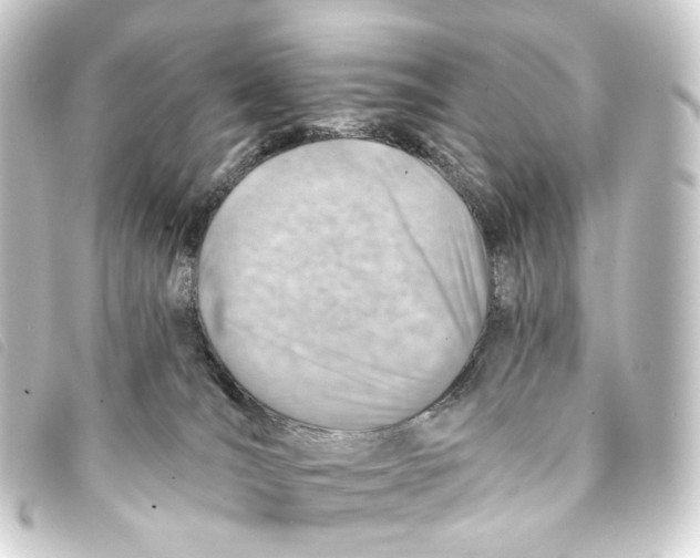 X0000093210036200710241206