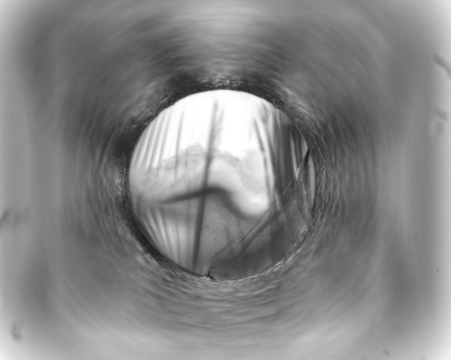 X0000093210039200710241206