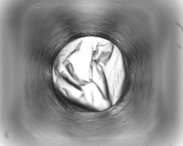X0000093210040200710241206
