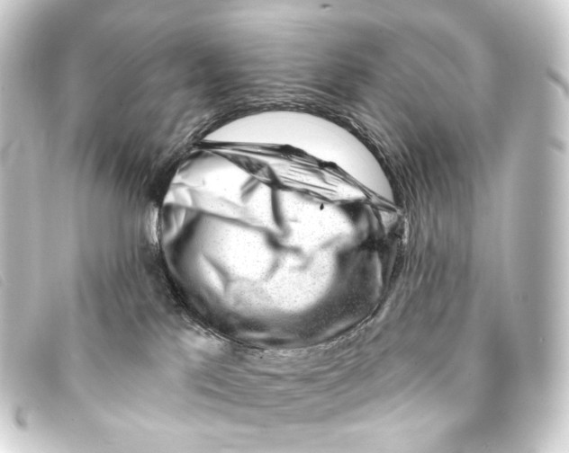 X0000093210041200710241206